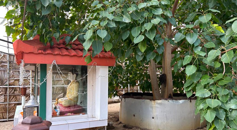 கச்சதீவில் உள்ள புத்தர் சிலையை அகற்ற வேண்டும்! விடுக்கப்பட்ட கோரிக்கை 