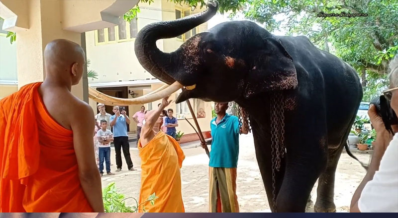  'மியான் குமாரின்' உடல்நிலை அறிக்கையை சமர்ப்பிக்குமாறு நீதிமன்றம் உத்தரவு