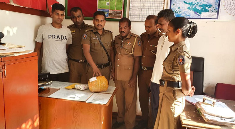 நெல்லியடியில் கஞ்சாவுடன்  ஒருவர் கைது! 