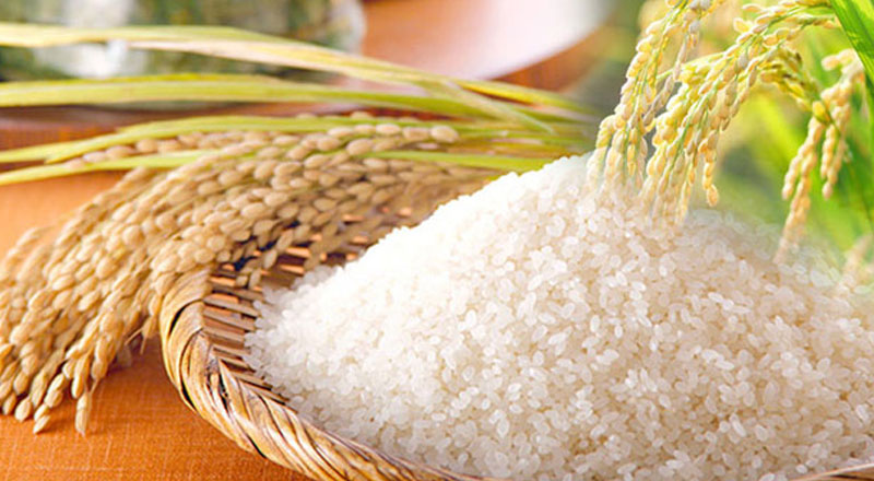 அரிசிக்கான  உற்பத்திச் செலவை அதிகரிக்க தீர்மானம்! 