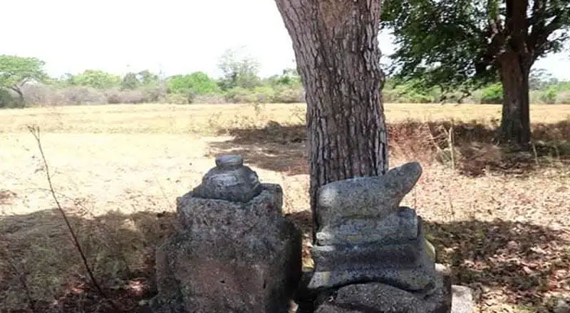 வடக்கு கிழக்கில்  பௌத்த அடையாளங்கள் இருப்பதாக அடையாளப்படுத்தப்பட்டுள்ள சைவ ஆலயங்கள்