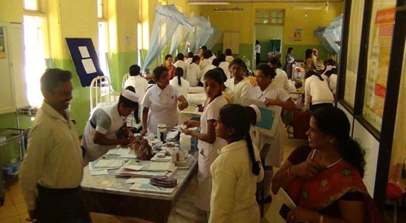 ஹட்டனில் மாணவர்கள் மீது குளவித்தாக்குதல்: பாடசாலையை தற்காலிகமாக  மூட நடவடிக்கை