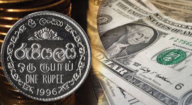 இலங்கை ரூபாயின்  மதிப்பு 12.9 சதவீதத்தால்  உயர்வு
