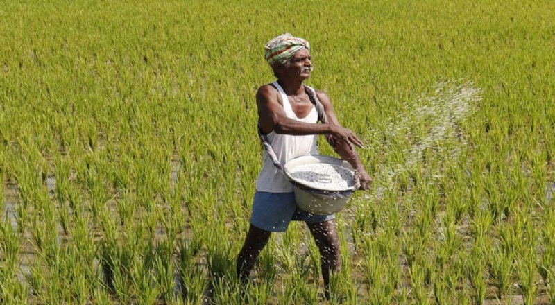 பற்றுச்சீட்டு மூலம் நாளை முதல் யூரியா உரத்தை கொள்வனவு செய்ய அனுமதி