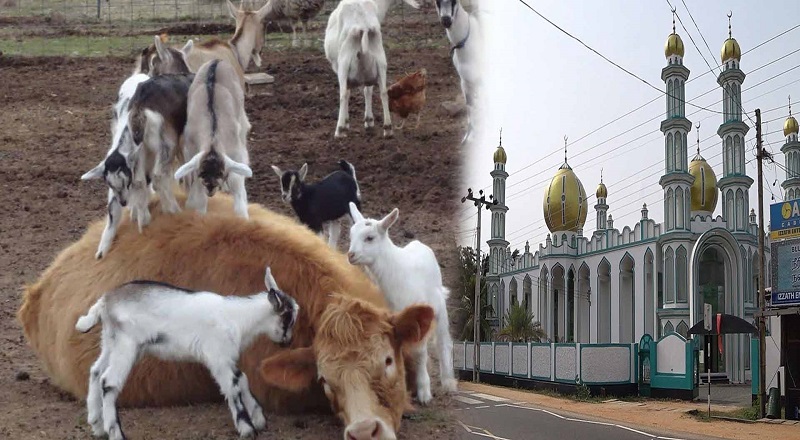 175 00000 ரூபா பெறுமதியான இறைச்சிகளை திருகோணமலையில் வாழும் இஸ்லாமியர்களுக்கு வழங்கும் சுவிஸ் துருக்கி மக்கள்.