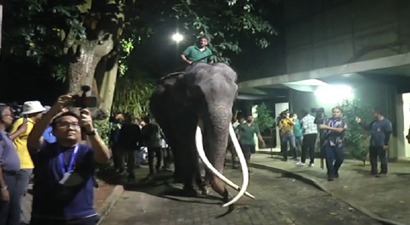 முத்துராஜாவுக்கு தாய்லாந்தில் அளிக்கப்படும் பராமரிப்பில் மிகவும் மகிழ்ச்சி