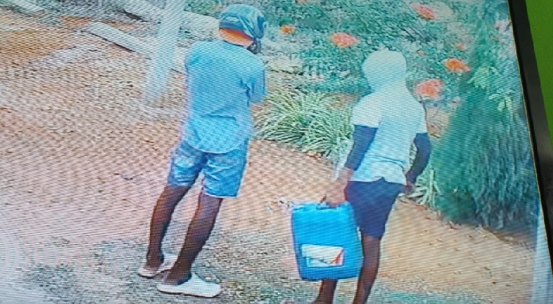 அச்சுவேலியில் பயன் தரு மரங்கள் மீது மண்ணெண்ணெய் ஊற்றிய இனம் தெரியாத நபர்கள்