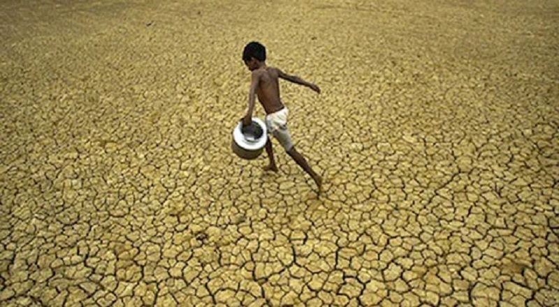 வறட்சியான காலநிலை காரணமாக பயிர் சேதங்களுக்கு இழப்பீடு வழங்க முடிவு