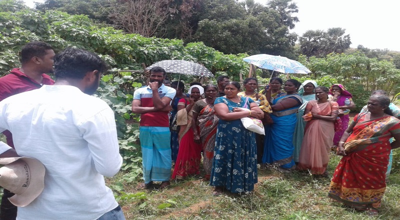 மன்னாரைச் சேர்ந்த விவசாயிகள் குழு மகா இலுப்பள்ளம் விவசாய ஆராய்ச்சி நிலையத்திற்கு களப்பயணம்