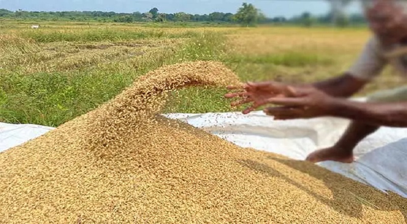 ஜப்பானின் நிதியுதவியில்  கிளிநொச்சியில் விவசாயிகளுக்கான இலவச இரசாயன உர விநியோகம்