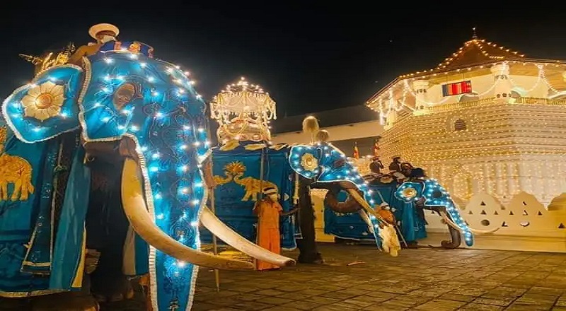 கண்டி எசல பெரஹெராவை முன்னிட்டு கப் நடுதல் நிகழ்வு இடம்பெற்றது.