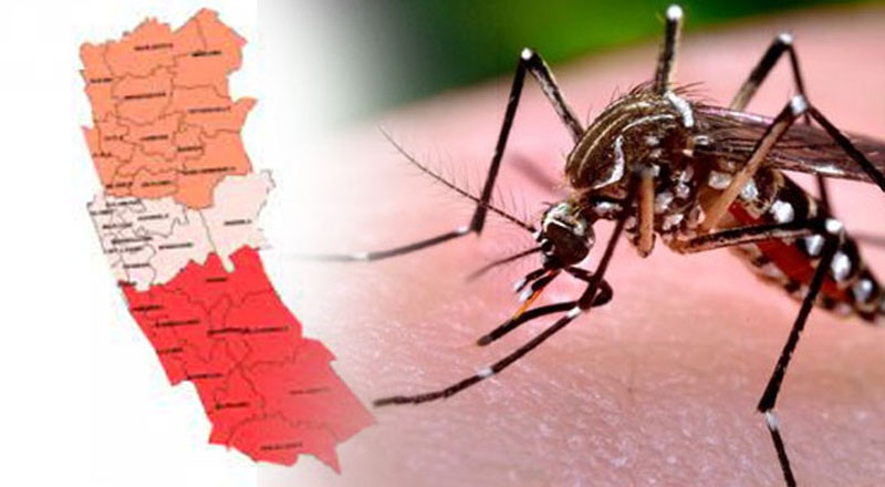 மேல் மாகாணத்தில் டெங்கு தொற்றுநோய் அபாயம் - இன்று முதல் டெங்கு தடுப்பு சிறப்பு வாரம்