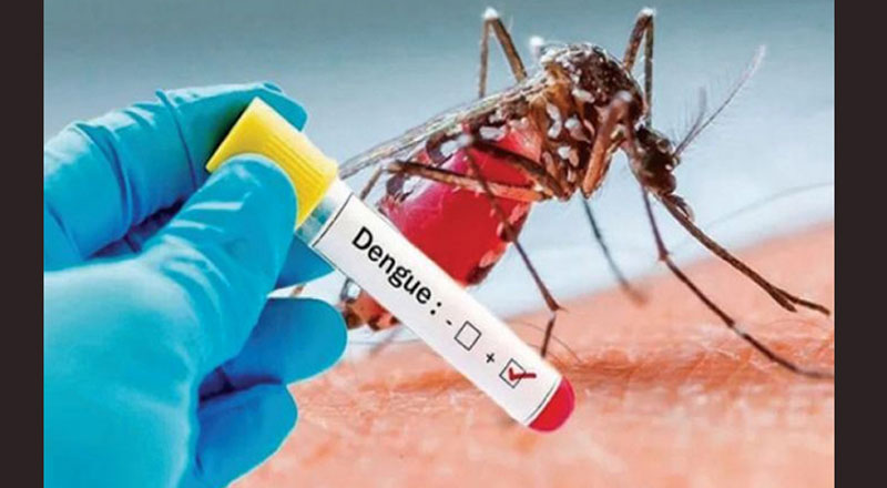 டெங்கு தொடர்பான முக்கிய அறிவிப்பு: சுகாதார திணைக்களம்