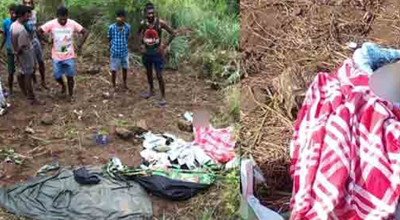 காட்டில் கூடாரம் அமைத்து இரவைக் கழித்த யுவதி யானையின் தாக்குதலில் உயிரிழப்பு!