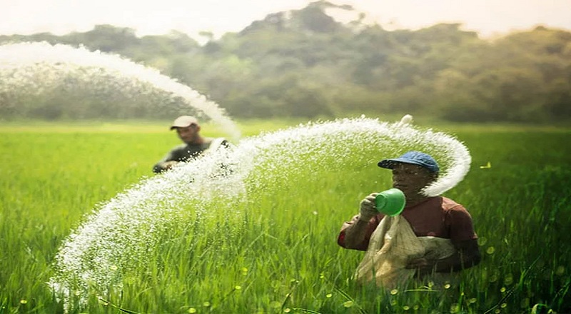 உரத்திற்கான வவுச்சர்கள் மே மாத இறுதிக்குள் வழங்கப்படும் - மஹிந்த அமரவீர