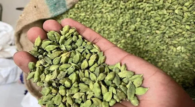 25 லட்சம்  பெறுமதியான  ஏலக்காய்களை திருடிய மூவர் கைது