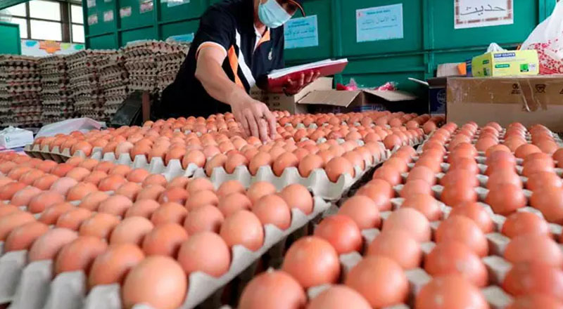 இந்தியாவிலிருந்து தினமும் 10 லட்சம் முட்டைகள் இலங்கைக்கு!