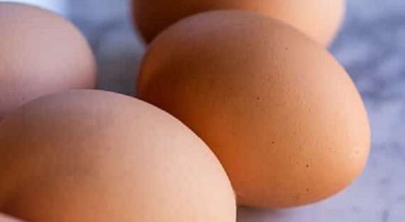 நெதர்லாந்தில் இருந்து இலங்கைக்கு இறக்குமதி செய்யபப்டும் முட்டைகள்!