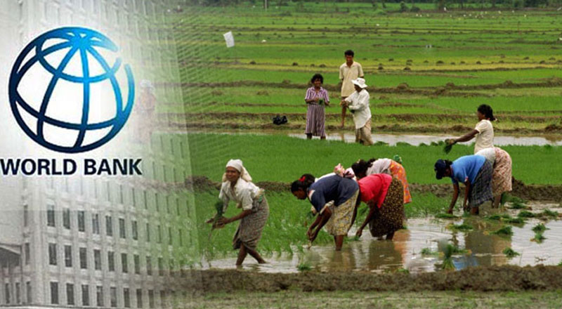 விவசாய அபிவிருத்திக்காக அடுத்த ஐந்து  ஆண்டுகளுக்கு உலக வங்கி நிதி உதவி!