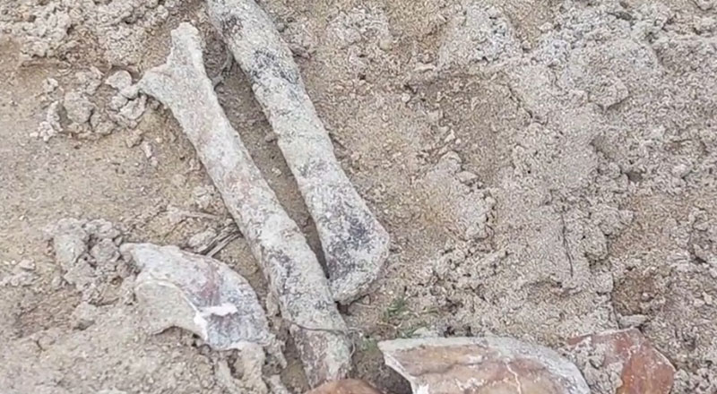 மனிதபுதை குழி சம்பவங்கள்: சாட்சியங்களை அழிக்குமாறு உத்தரவிட்ட கோத்தபாய! மீண்டும் சிக்கல்