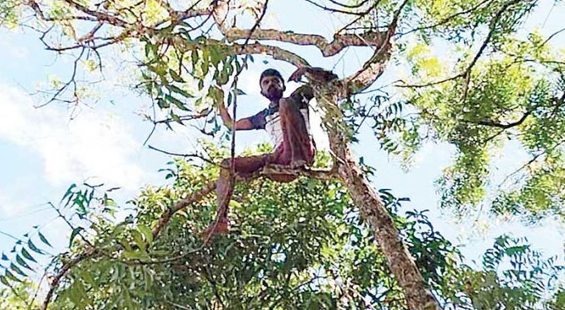 அஸ்வசும கொடுப்பனவு: ஐந்து பிள்ளைகளின் தந்தை மரத்தில் ஏறி தூக்குப்போட முயற்சி