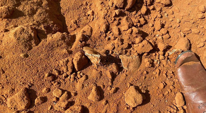 முல்லைத்தீவில் மனித எச்சங்கள்: உறவுகளை தேடி அலையும் உறவினர்களிடையே பெரும் பதற்றம்