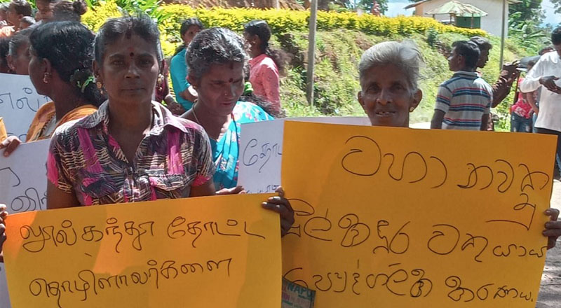 ஒன்றரை நூற்றாண்டு பழமையான தேயிலை தோட்டம்  விற்பனை: கிளம்பிய எதிர்ப்பு