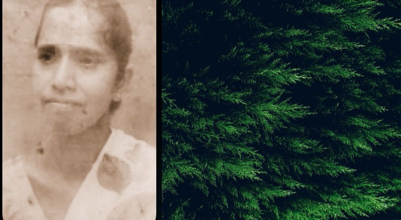 85 வயதான பாட்டியின் கழுத்தை நெரித்துக் கொலை செய்த பேரன்