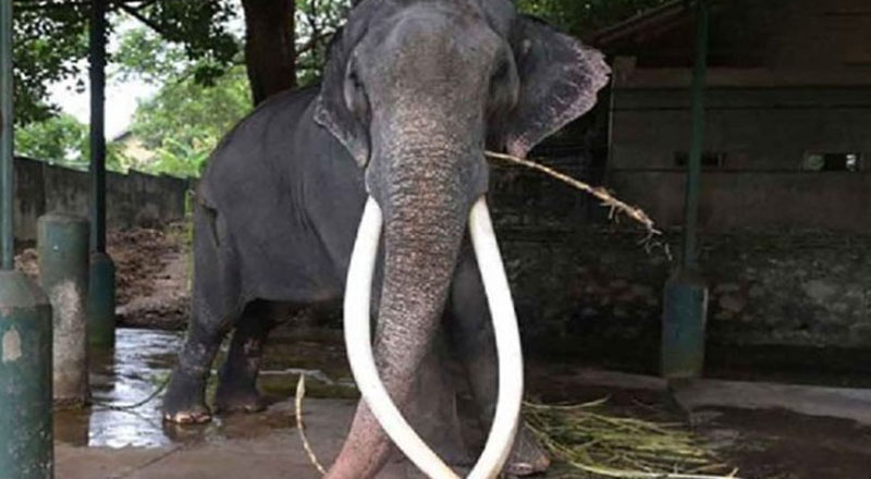 சொந்த மண்ணுக்கு செல்லும் முத்துராஜா