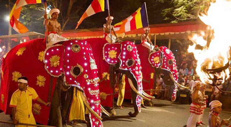 பெரஹரா கலாச்சாரத்திலிருந்து யானைகளை ஒழிக்க முயற்சிக்கும் அரச சார்பற்ற நிறுவனங்கள்: அஸ்கிரிய பீடாதிபதி