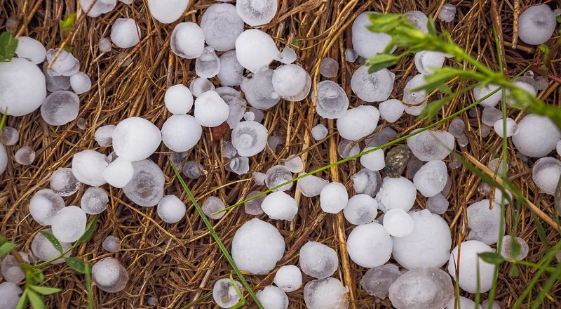 இத்தாலியில் ஆலங்கட்டி மழை - 100 க்கும் மேற்பட்டோர் பாதிப்பு