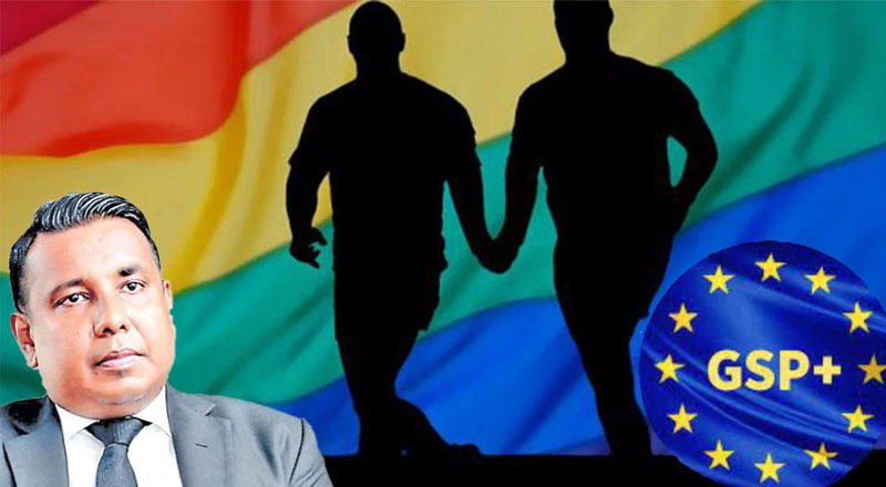 ஜி.எஸ்.பி பிளஸ் சலுகை நீடிப்பது தொடர்பில்  ஸ்ரீலங்கா பொதுஜன பெரமுன கருத்து!