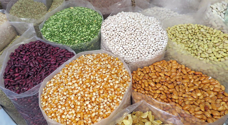 ஐரோப்பாவில் நிலவும் வெப்ப அலையால் உலகின் உணவு நெருக்கடி மோசமடையலாம்