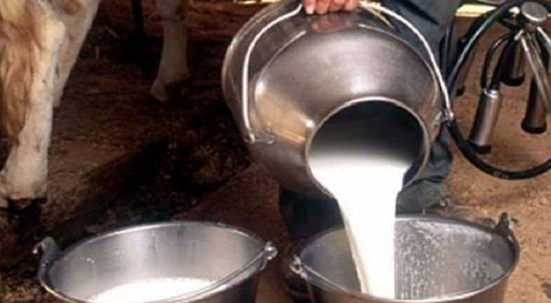 நாட்டில் வீழ்ச்சியடைந்த தொழில்துறை மீண்டும் அதிகரித்துள்ளது! விடுக்கப்பட்ட கோரிக்கை