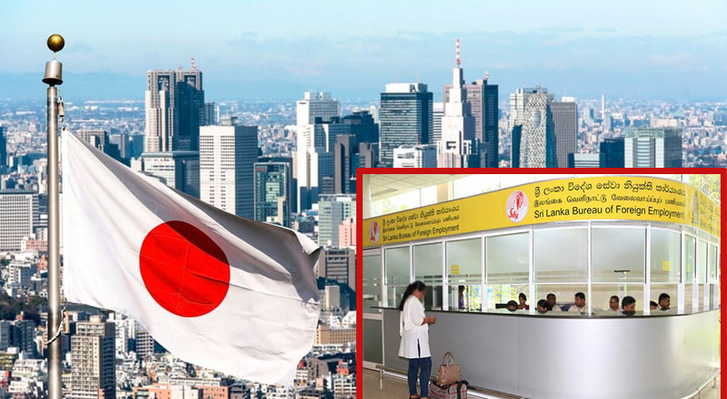 ஜப்பானில் வேலைவாய்ப்பு: தகுதித் தேர்வுக்கான திகதி அறிவிப்பு