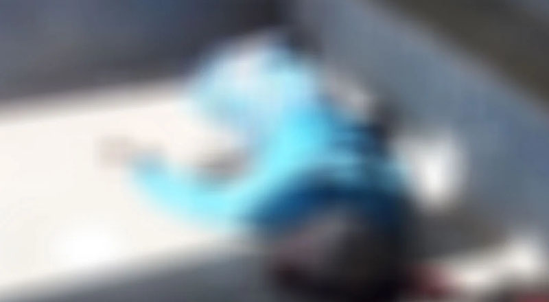 நாகொட வைத்தியசாலையின் வடிகாலில் நோயாளர் ஒருவரின் சடலம்