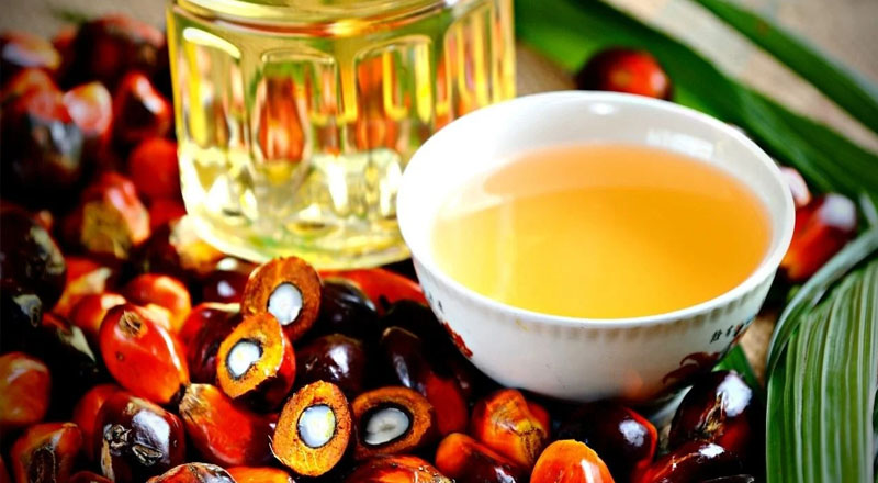 பாம் ஒயில் மீதான தடையை நீக்குமாறு ஜனாதிபதியிடம் கோரிக்கை