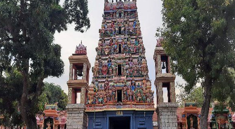 யாழில் சங்கமித்தையுடன் தொடர்புடைய அரச மரம்: வர்த்தமானிக்கு வலுக்கும் எதிர்ப்புகள்