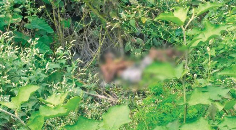 வெல்லவாய காட்டில் சிதைவடைந்த நிலையில் சடலம் மீட்பு