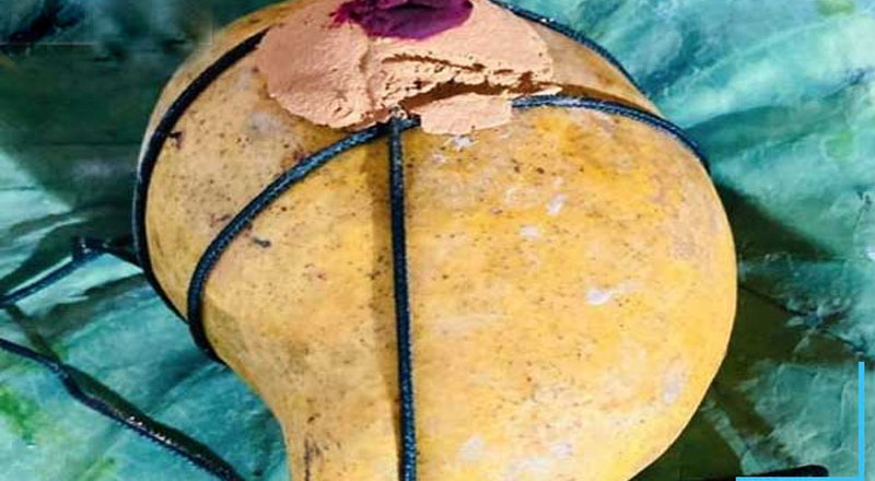 கடவுளுக்குப் படைக்கப்பட்ட மாம்பழம் ரூ. 95,000 இற்கு விற்பனை