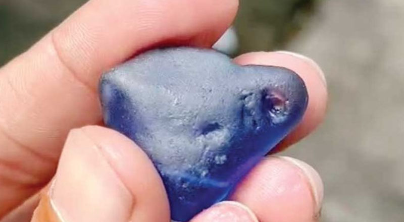 47 கோடிக்கு நீல மாணிக்கக்கல்லை ஏலம் எடுத்த தொழிலதிபர்