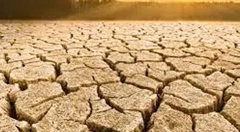 வவுனியாவில் வறட்சி காரணமாக ஆயிரத்திற்கும் மேற்பட்டோர் பாதிப்பு