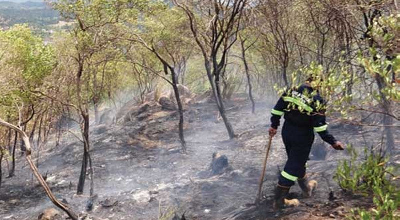 அத்துகல காட்டிற்கு தீ வைத்த இராணுவவீரரும் காதலியும் கைது