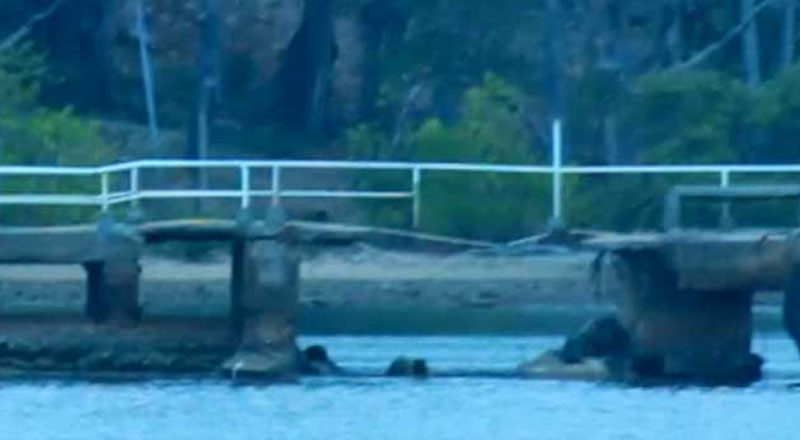 திருகோணமலையில்  இறங்குதுறை இடிந்து விழுந்ததில் பலர் காயம்!