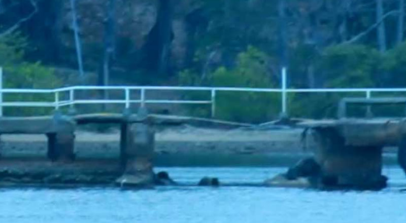 திருகோணமலையில் இறங்குதுறை இடிந்து விபத்து! பாடசாலை மாணவன் உட்பட பலர் காயம்