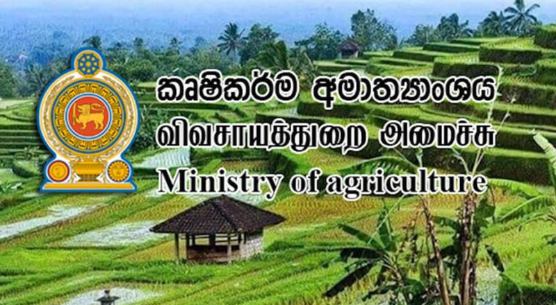 பெரும்போகத்திற்காக தயார்படுத்தலை மேற்கொள்ள அறிவுறுத்தல்!