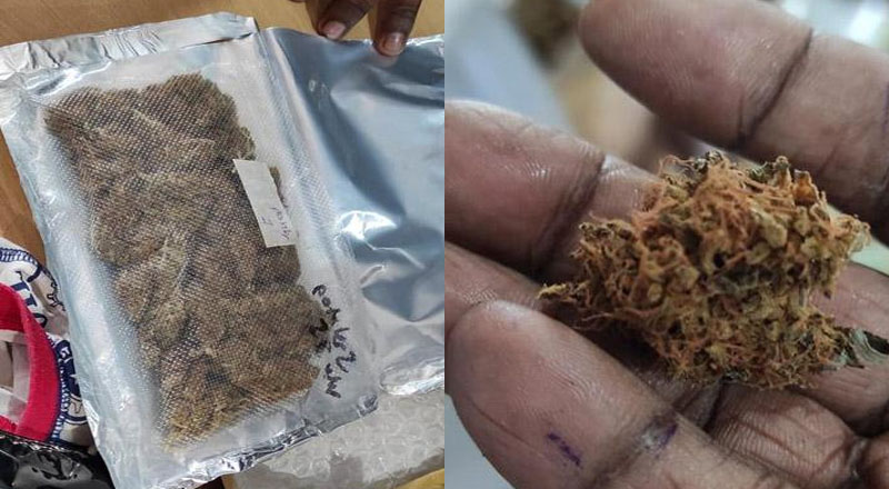 ஹஷிஷ் அடங்கிய உரிமை கோரப்படாத 15  பார்சல்கள் கைப்பற்றப்பட்டன