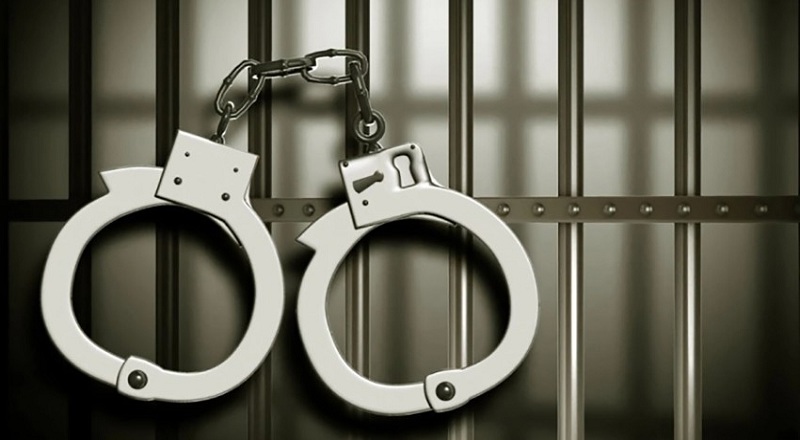 தொலைபேசிகளை திருடிய இரு பல்கலைக்கழக மாணவர்கள் கைது