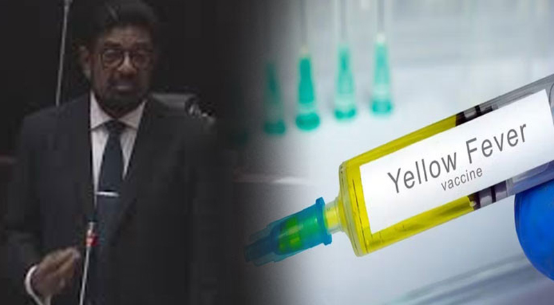 ஆறு மாதங்களாக மஞ்சள் காமாலைக்கான தடுப்பூசி தட்டுப்பாடு