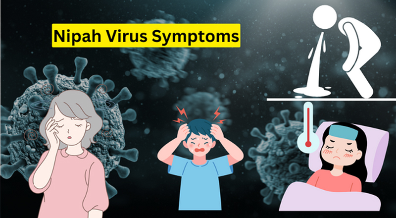 நிபா வைரஸைக் கண்டறியும் சோதனைக் கருவிகளை கொண்டுவர நடவடிக்கை